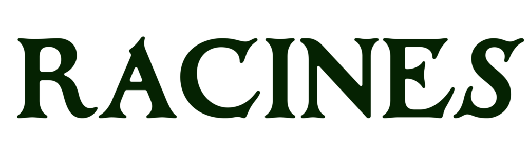 RACINES FESTIVAL DES MUSICIENS DU MONDE 8 ÉDITION (36)